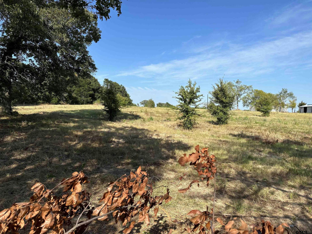 LOT 7 CR 3612, BROWNSBORO, TX 75756, photo 1 of 2