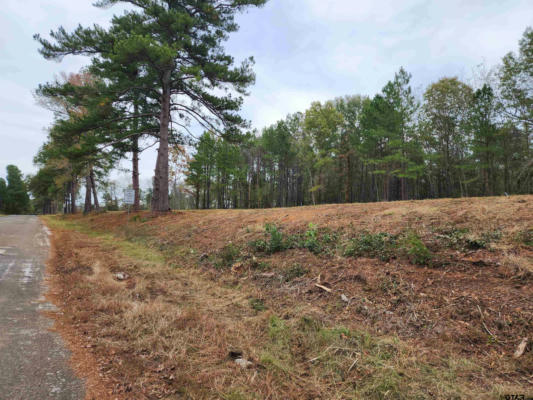 LOT 2 - TBD NE CR 363, WINONA, TX 75792, photo 2 of 11