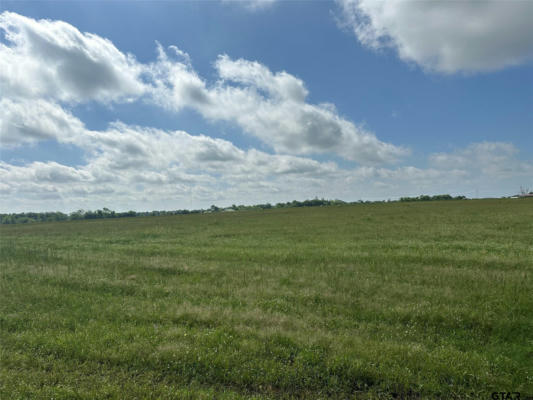 LOT 4 - 10AC COUNTY ROAD 4330, POINT, TX 75472, photo 5 of 12