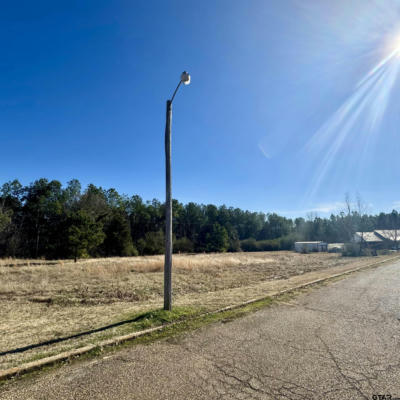 LOT 28 TWIN SPRINGS TRAIL, OMAHA, TX 75571, photo 2 of 6