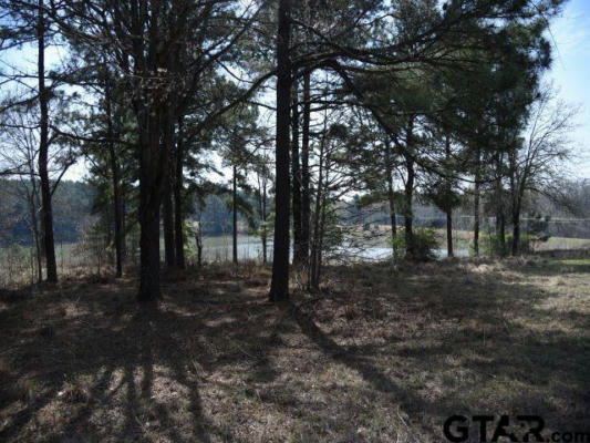 LOT 13 ACR 450, MONTALBA, TX 75853 - Image 1