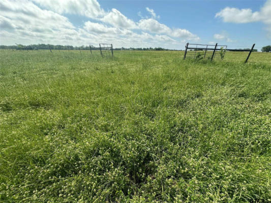 LOT 3 - 10AC COUNTY ROAD 4330, POINT, TX 75472, photo 2 of 11