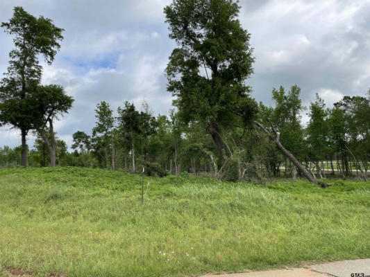 TBD LIVE OAK LOT 11, ALTO, TX 75925, photo 3 of 14