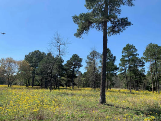 3155 SHADOW PINE DR LOT 77, LARUE, TX 75770, photo 3 of 24