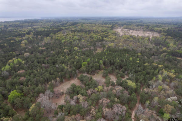 3719 PINE WOOD WAY (NORTH 10.625 ACRES), LARUE, TX 75770, photo 3 of 7