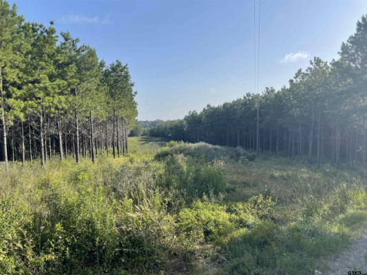 TBD (LOT 45) COUNTY ROAD 1060, CENTER, TX 75935 - Image 1