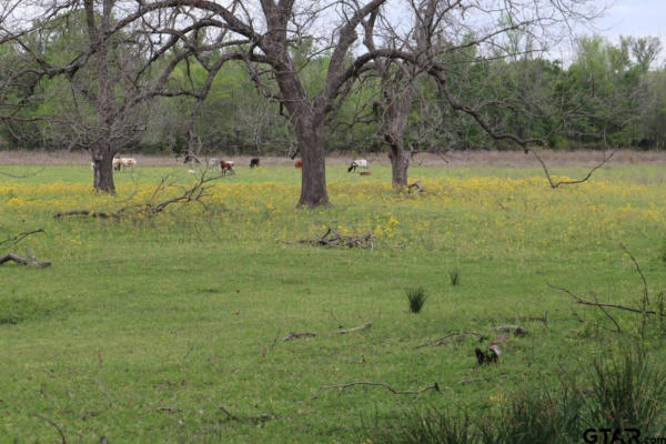 TBD RS COUNTY ROAD 2365, ALBA, TX 75410, photo 5 of 21