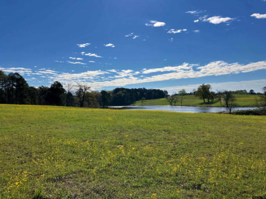 LOT 49 WHITE OAK CREEK RANCH, BIG SANDY, TX 75755, photo 5 of 13