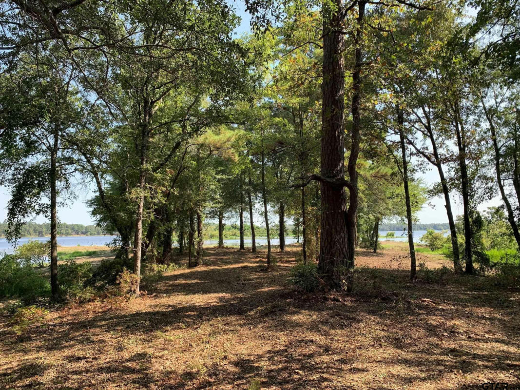 3196 SHADOW PINE DR LOT 46, LARUE, TX 75770, photo 1 of 14