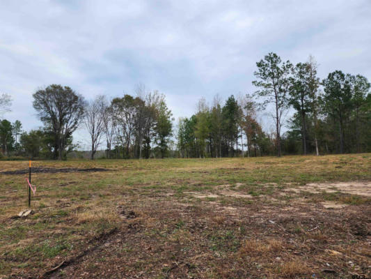 LOT 1 - TBD NE CR 363, WINONA, TX 75792, photo 4 of 11