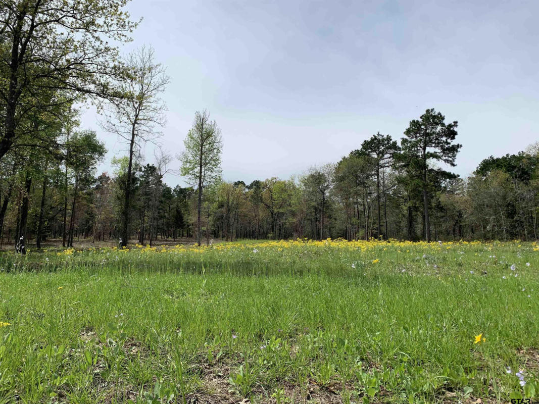 3155 SHADOW PINE DR LOT 77, LARUE, TX 75770, photo 1 of 24