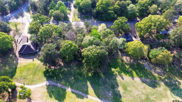 TBD LOT 382 GREENBRIAR, HOLLY LAKE RANCH, TX 75765, photo 2 of 30