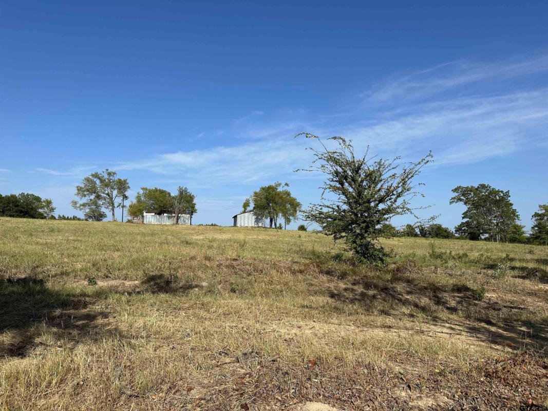 LOT 6 CR 3612, BROWNSBORO, TX 75756, photo 1 of 2