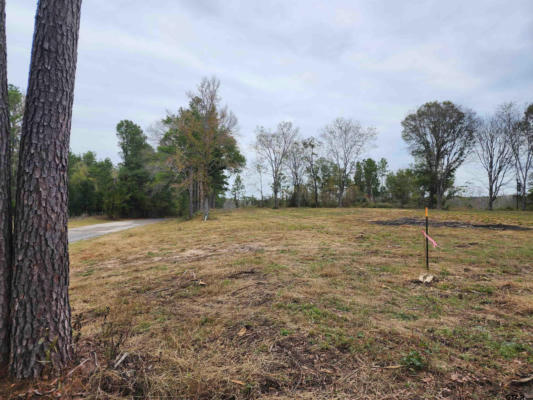 LOT 2 - TBD NE CR 363, WINONA, TX 75792, photo 5 of 11