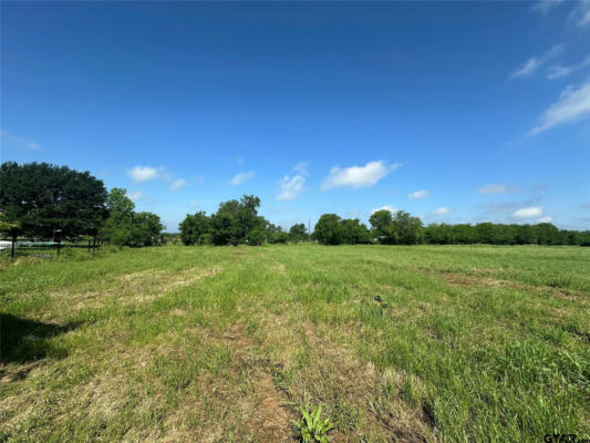 1 ACRE COUNTY ROAD 4330, POINT, TX 75472 - Image 1
