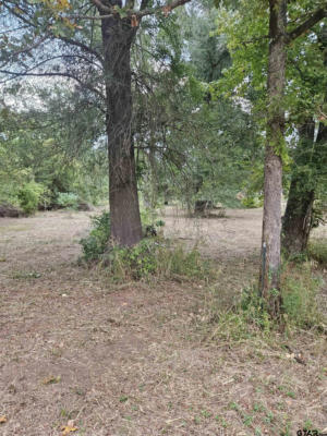 TBD W LAKEVIEW DR LOT 135, TROUP, TX 75789, photo 5 of 11