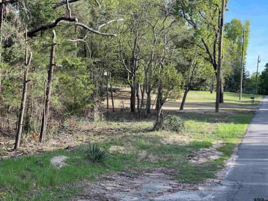 TBD LOT 382 GREENBRIAR, HOLLY LAKE RANCH, TX 75765, photo 4 of 30