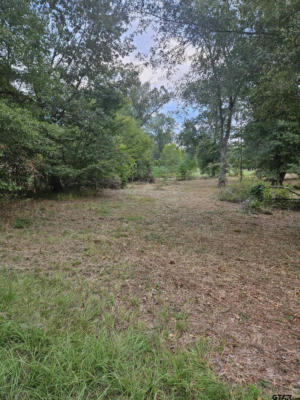 TBD W LAKEVIEW DR LOT 135, TROUP, TX 75789, photo 2 of 11