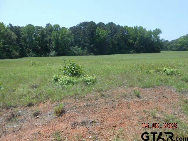 LOT 4 5.287 AC CR 217, HENDERSON, TX 75652, photo 1 of 3