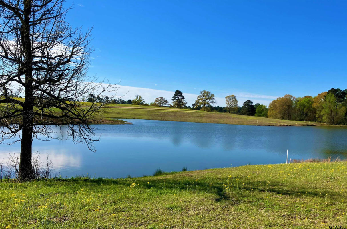 LOT 49 WHITE OAK CREEK RANCH, BIG SANDY, TX 75755, photo 1 of 13