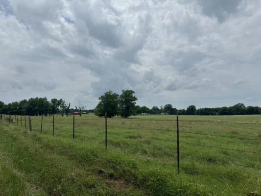 W COUNTY ROAD 4174 A, LANEVILLE, TX 75667 - Image 1