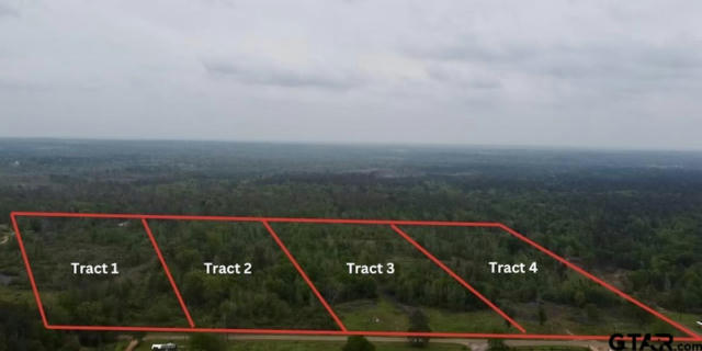 TRACT 3 COUNTY ROAD 4146, OVERTON, TX 75684 - Image 1