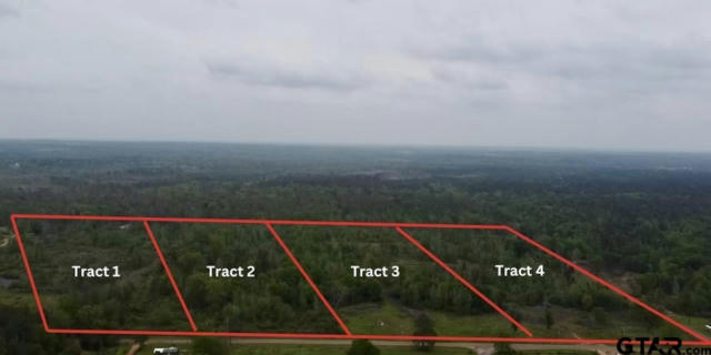 TRACT 4 COUNTY ROAD 4146, OVERTON, TX 75684 - Image 1