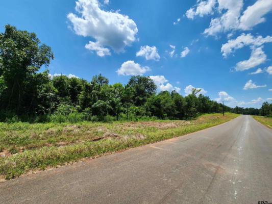 TBD RIDGELINE LOOP, LOT 61, WINONA, TX 75792, photo 4 of 4