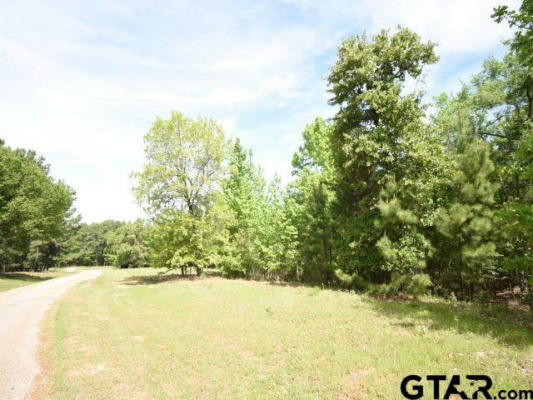 LOT 34 ACR 453, MONTALBA, TX 75853 - Image 1