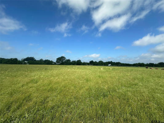 LOT 4 - 10AC COUNTY ROAD 4330, POINT, TX 75472 - Image 1
