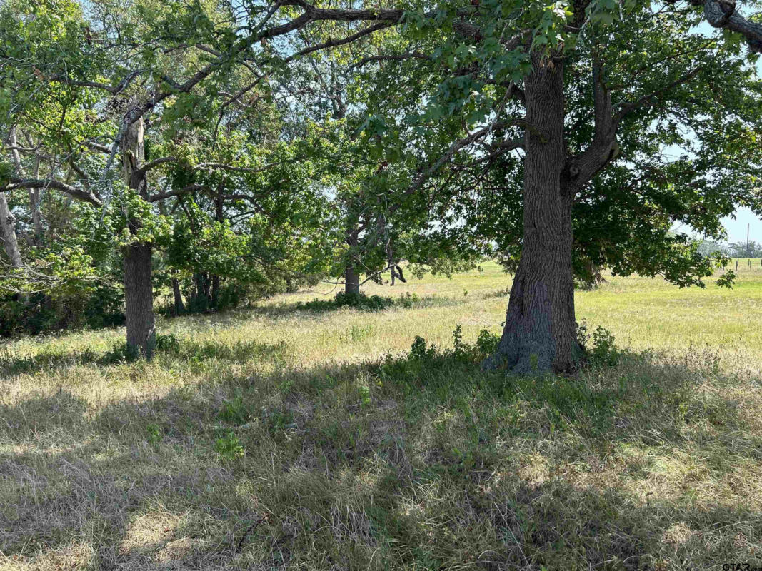 LOT 2 5.5ACRES COUNTY ROAD 2166, TROUP, TX 75789, photo 1 of 6