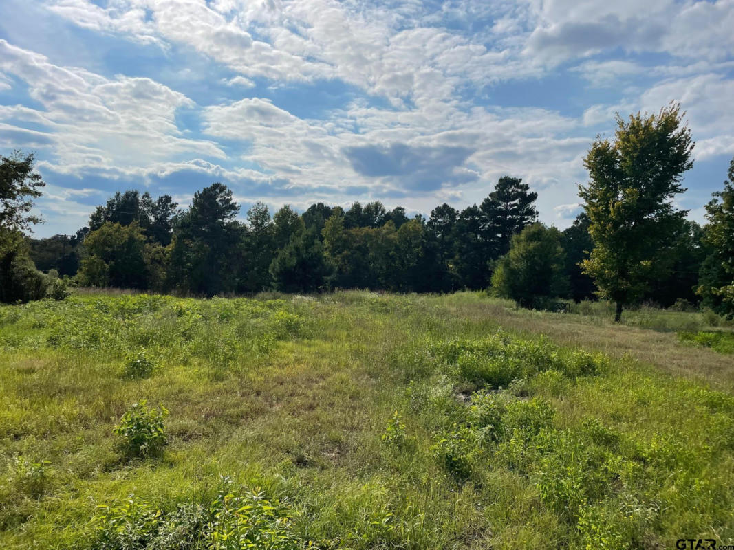 TBD 2.8 ACRES NORTH POINT PLEASANT RD, GLADEWATER, TX 75647, photo 1 of 4