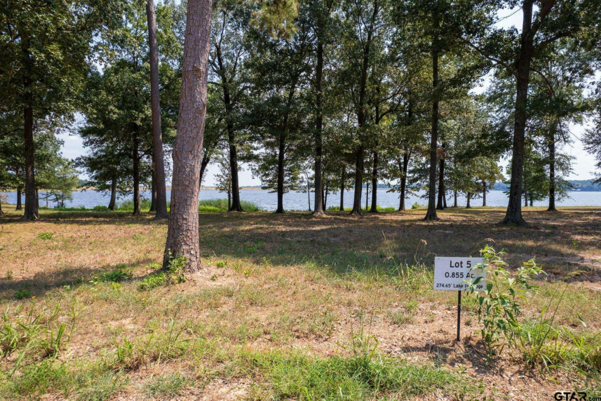 LOT 5 EAGLES NEST CIRCLE, MT VERNON, TX 75457, photo 1 of 11