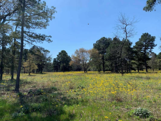 3155 SHADOW PINE DR LOT 77, LARUE, TX 75770, photo 2 of 24