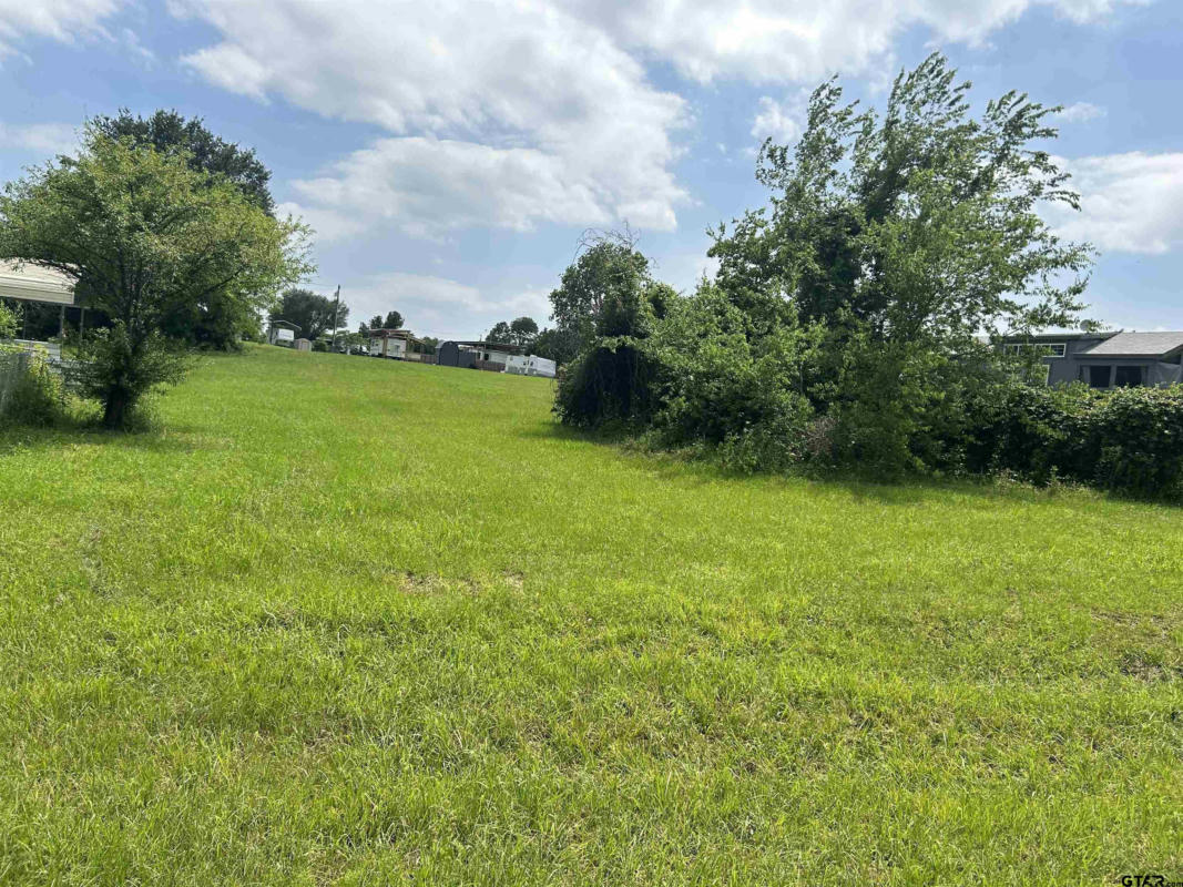 LOT 261 SECTION BROKEN BOW, QUITMAN, TX 75783, photo 1 of 13