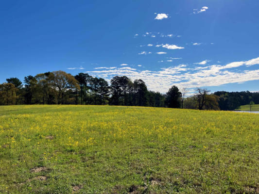 LOT 49 WHITE OAK CREEK RANCH, BIG SANDY, TX 75755, photo 4 of 13