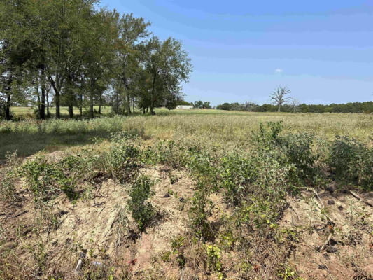 3.35 ACRES TBD COUNTY ROAD 2169, TROUP, TX 75789, photo 3 of 7