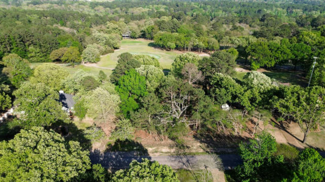 TBD LOT 382 GREENBRIAR, HOLLY LAKE RANCH, TX 75765, photo 3 of 30