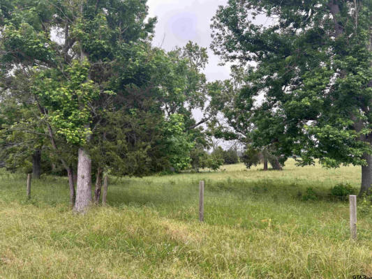 LOT 2 5.5ACRES COUNTY ROAD 2166, TROUP, TX 75789, photo 3 of 6