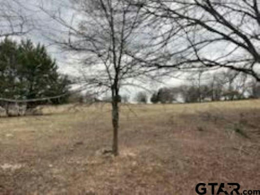 LOT 1 CR 414, TYLER, TX 75704, photo 3 of 4