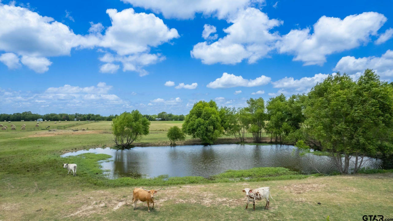 LOT 3 - 10AC COUNTY ROAD 4330, POINT, TX 75472, photo 1 of 27