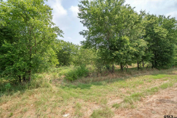 TRACT 1 HWY 243, KAUFMAN, TX 75142, photo 5 of 27