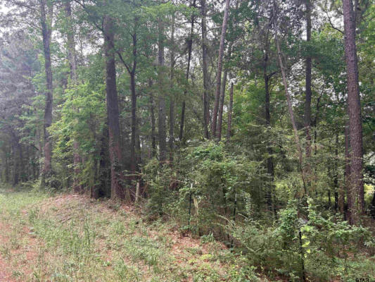 LOT 1 5+ ACRES FM 15, TROUP, TX 75789, photo 4 of 6