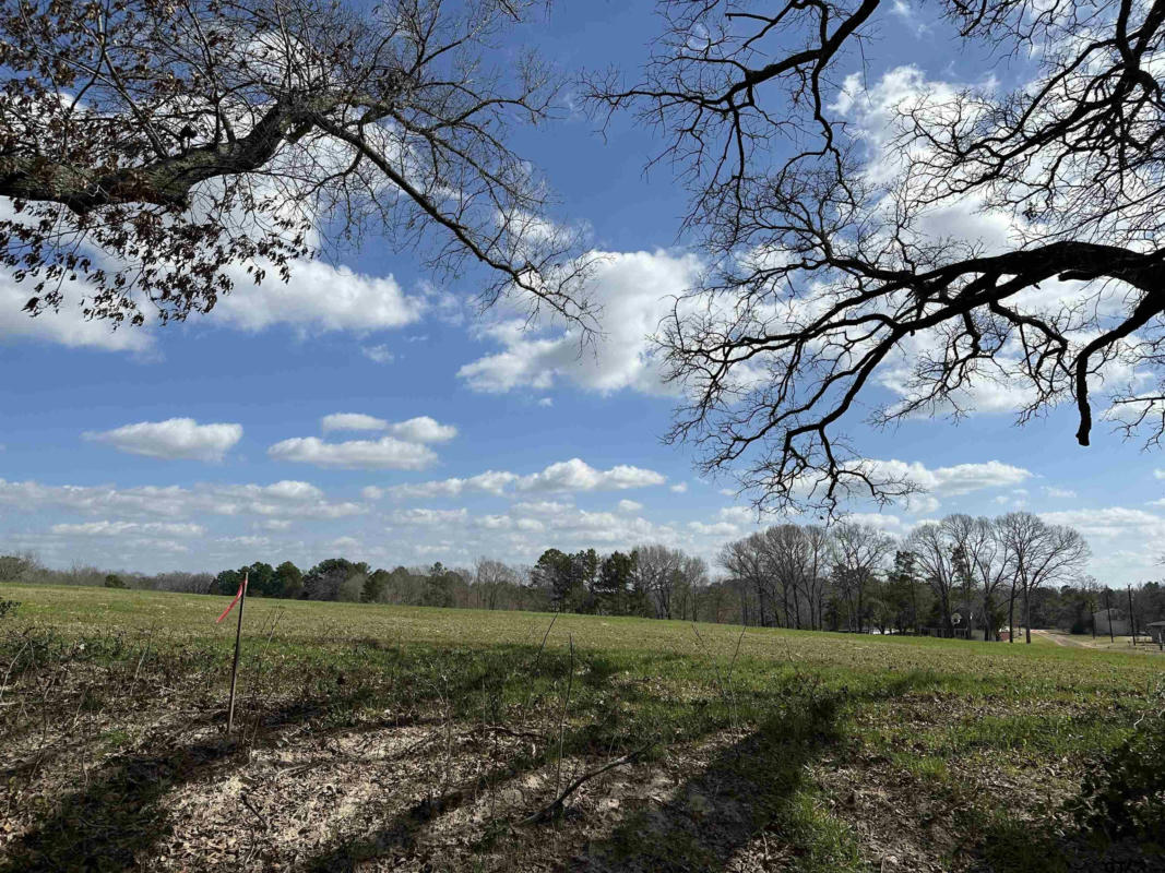 TBD LOT 2 COUNTY ROAD 401, HENDERSON, TX 75654, photo 1 of 5