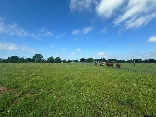 LOT 3 - 10AC COUNTY ROAD 4330, POINT, TX 75472, photo 3 of 27