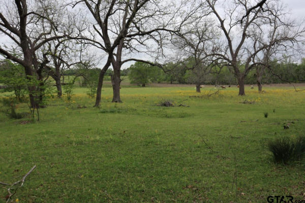 TBD RS COUNTY ROAD 2365, ALBA, TX 75410, photo 3 of 21