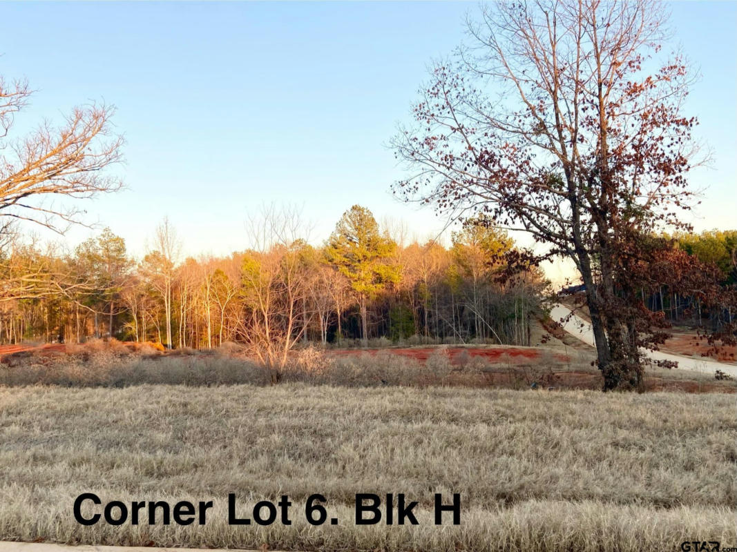 12348 HACKBERRY HOLLOW LOT 6, BLK H, LINDALE, TX 75706, photo 1 of 4