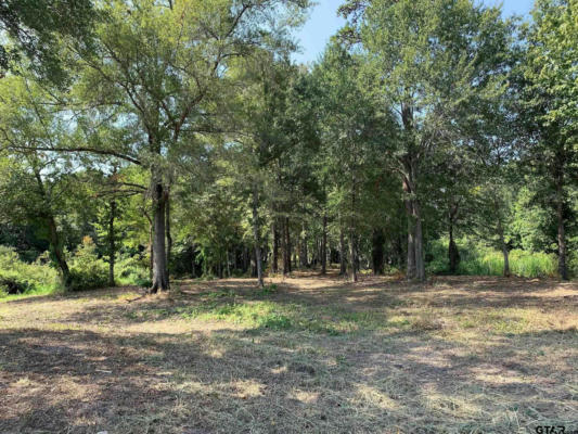 3196 SHADOW PINE DR LOT 46, LARUE, TX 75770, photo 5 of 14