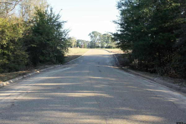 TBD ARMADILLO RD, LOT 5 - MEADOW SPRINGS SUBC, GILMER, TX 75644, photo 4 of 7