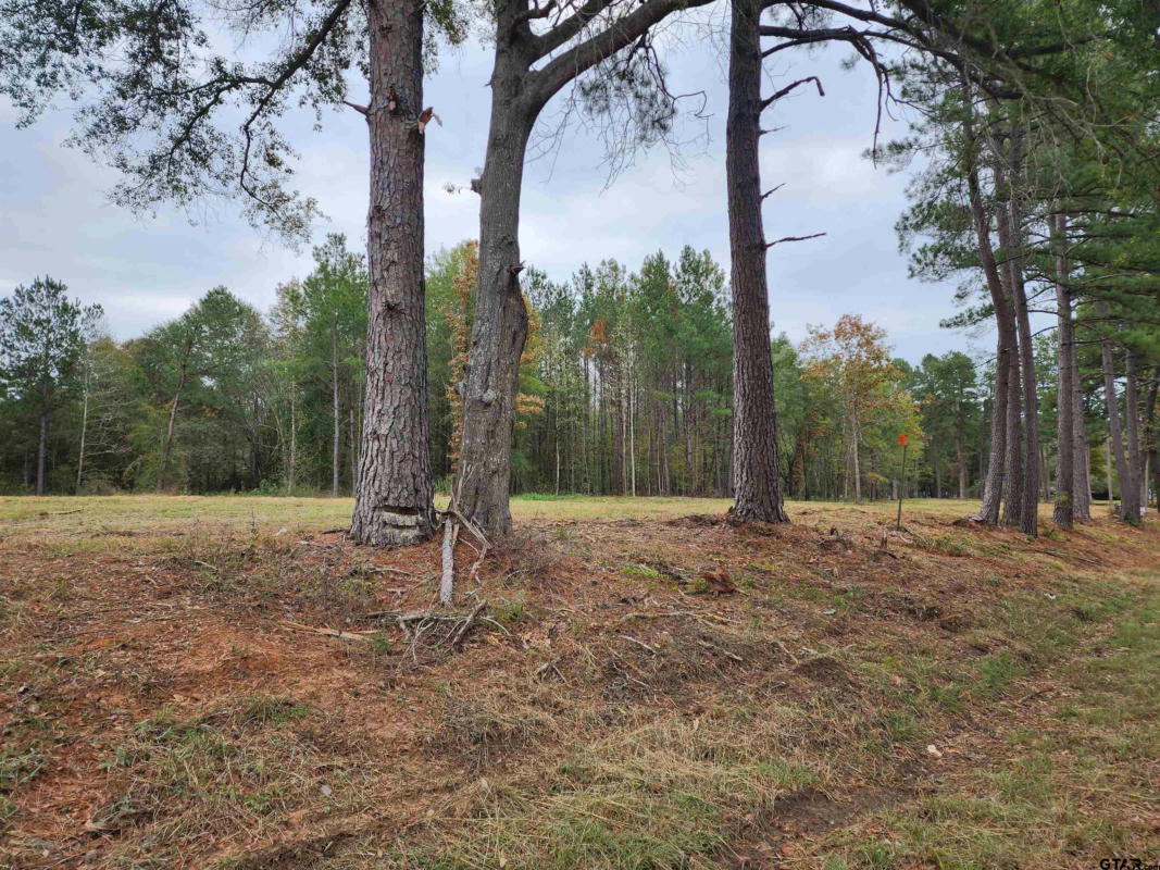 LOT 3 - TBD NE CR 363, WINONA, TX 75792, photo 1 of 11